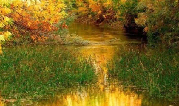 Σκάνδαλο ΟΠΕΚΕΠΕ: Ένα ΑΦΜ πήρε 19,6 εκατ. ευρώ επιδότηση σε ένα χρόνο - Εις υγείαν των κορόιδων!