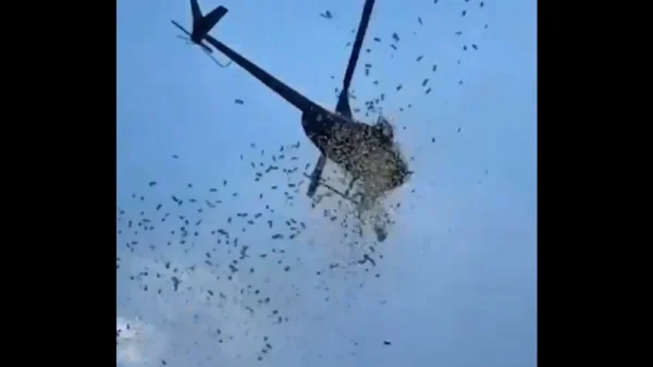 ΗΠΑ: Έβρεξε... χαρτονομίσματα στο ανατολικό Ντιτρόιτ, τρελάθηκαν οι περαστικοί - Δείτε βίντεο