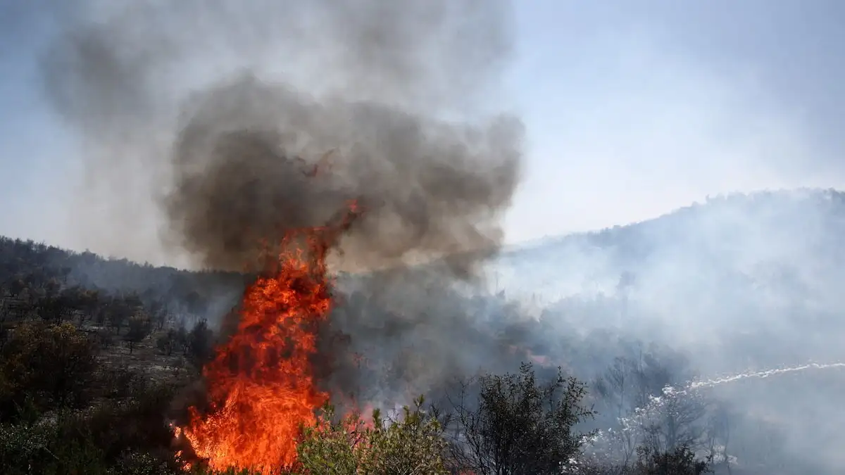 Φωτιά στο Ηράκλειο Κρήτης: Καίγεται δάσος στην Τσίγκουνα – Μήνυμα του 112 για εκκένωση της περιοχής