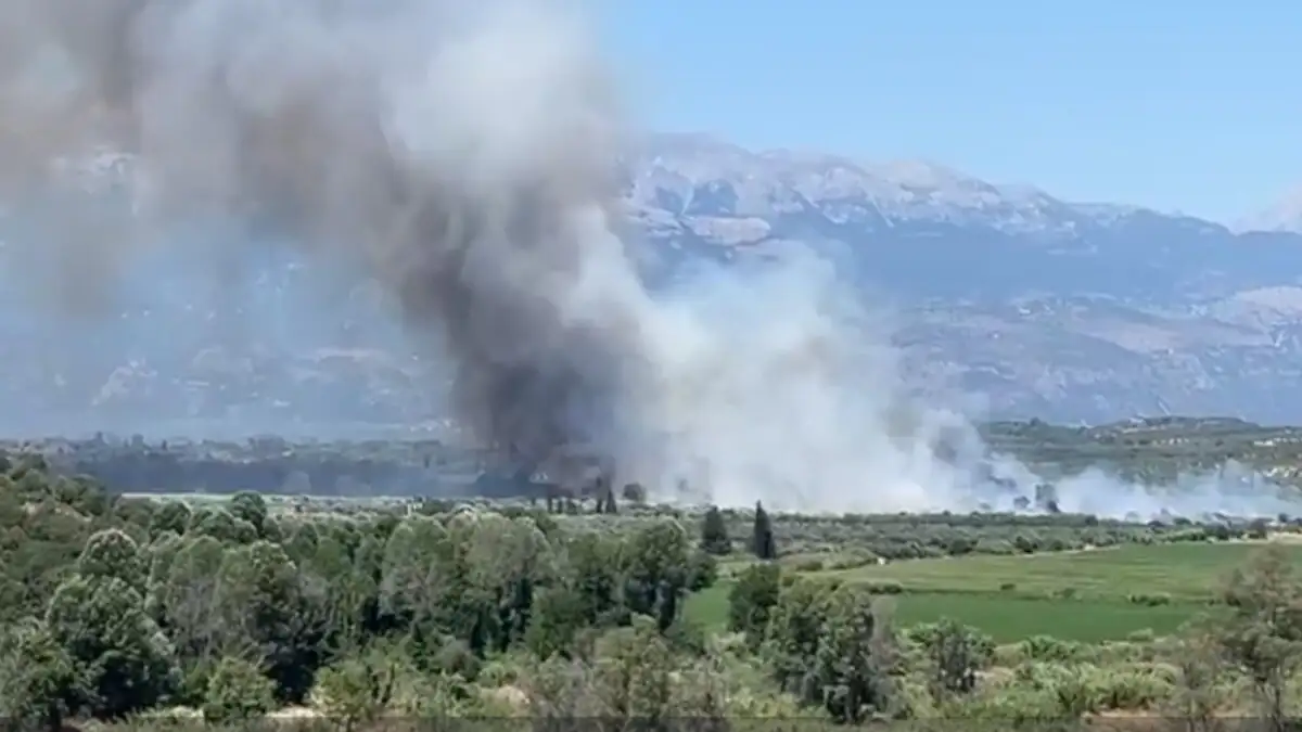 Φωτιά σε δάσος στο Λευκόχωμα Λακωνίας: Μήνυμα από το 112 στους κατοίκους