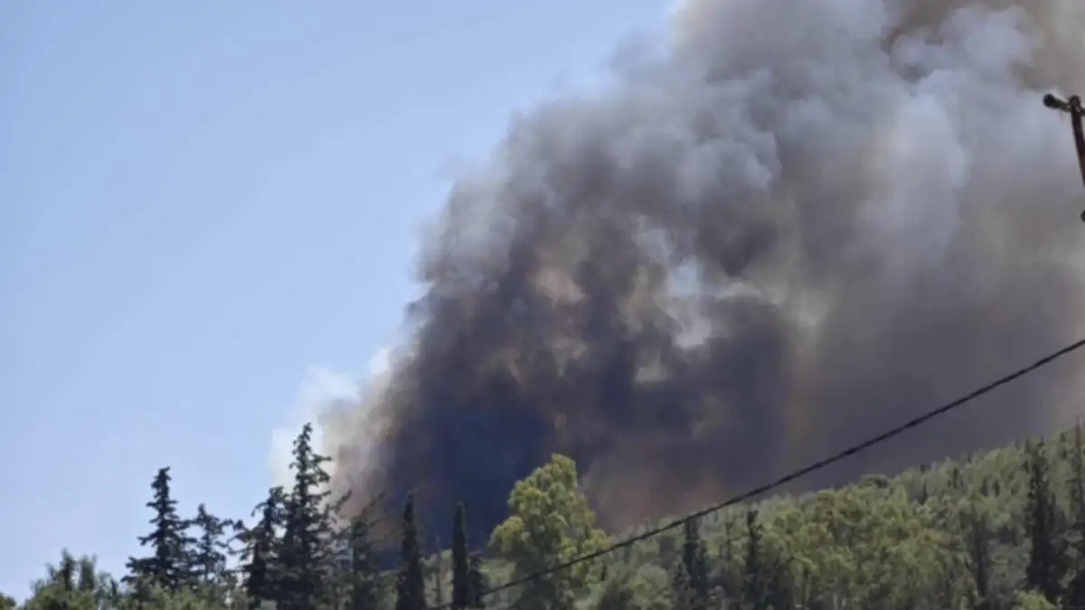 Φωτιά στο Άνω Σούλι Μαραθώνα: Ήχησε το 112 – «Απομακρυνθείτε προς Γραμματικό και Νέα Μάκρη»