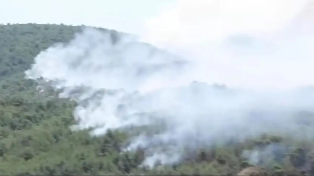 Η Σμύρνη στις φλόγες – Ανεξέλεγκτες μαίνονται 9 από τις 77 πυρκαγιές, άνεμοι πάνω από 120 χιλιόμετρα