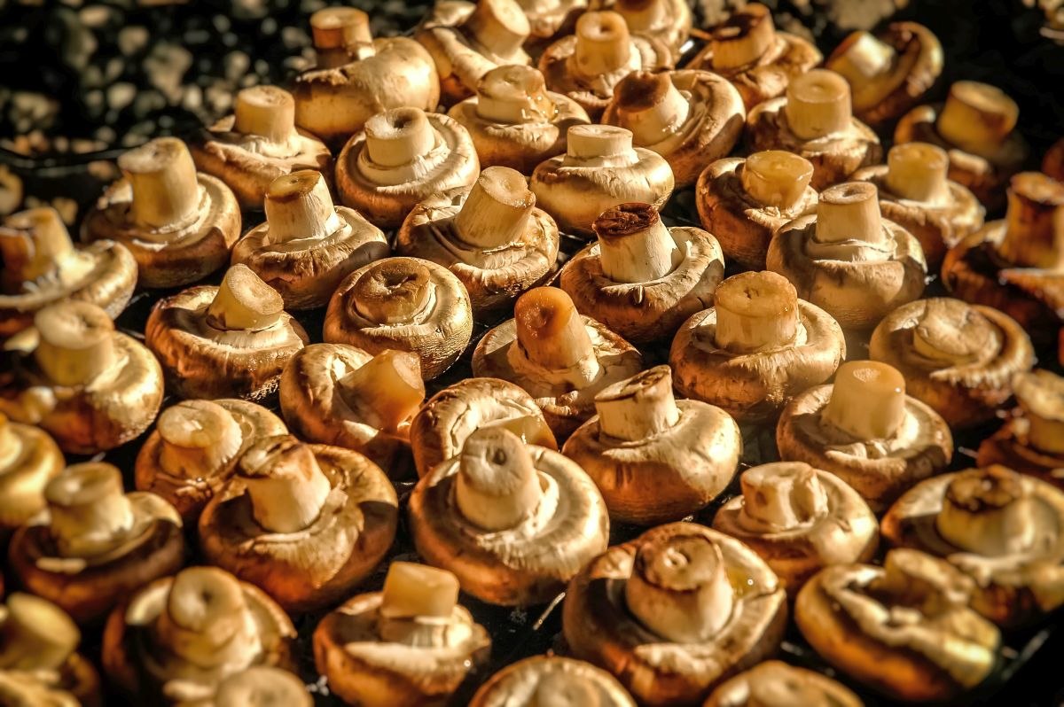 «Ντρέπομαι»: Ξέσπασε σε κλάματα η Πάτερσον στη δίκη για τη δολοφονία των πεθερικών της με δηλητηριώδη μανιτάρια