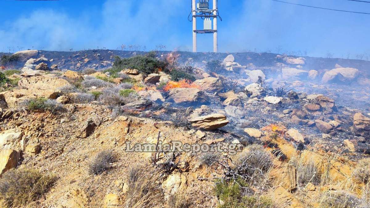 Πρόλαβαν επικίνδυνη πυρκαγιά στην Κάρυστο (ΦΩΤΟ)