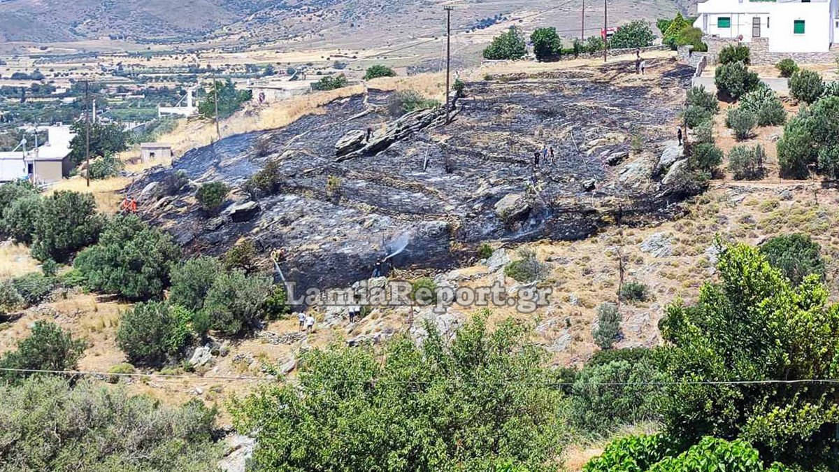 Μία σύλληψη για την πυρκαγιά στην Κάρυστο
