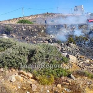 Υπό έλεγχο η πυρκαγιά στον Αετό Καρύστου - Μεγάλη και αποτελεσματική η κινητοποίηση των πυροσβεστικών μέσων