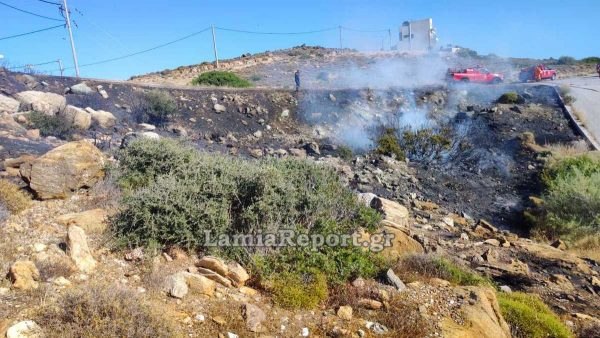 Υπό έλεγχο η πυρκαγιά στον Αετό Καρύστου - Μεγάλη και αποτελεσματική η κινητοποίηση των πυροσβεστικών μέσων