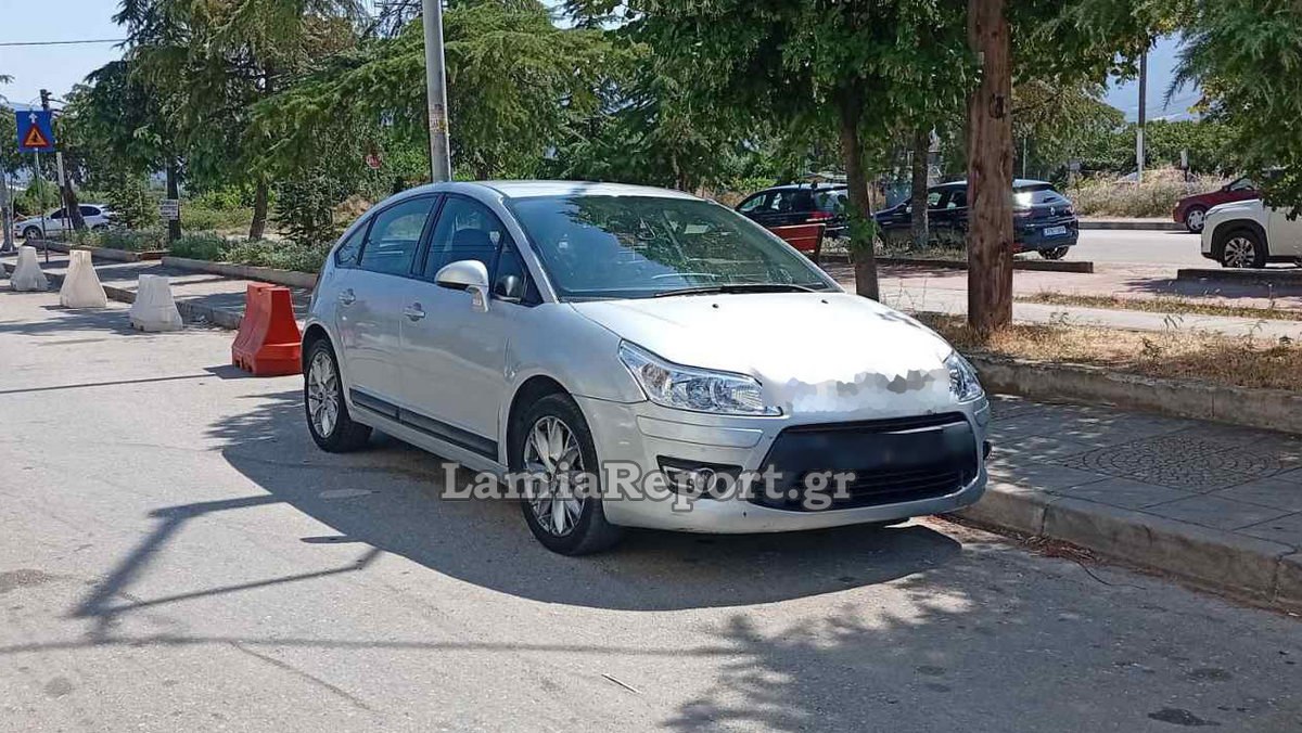 Έπιασαν τον «μαϊμού» λογιστή έξω από τη Λαμία - Είχε ξαφρίσει μέχρι και χρυσή οδοντοστοιχία από ηλικιωμένη!