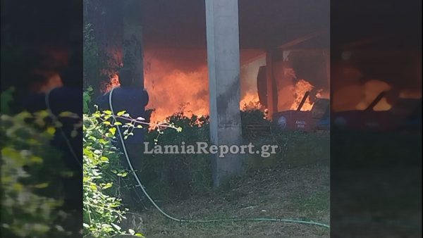 Πυρκαγιά σε εγκαταλελειμμένο σπίτι στην Παύλιανη (ΒΙΝΤΕΟ)