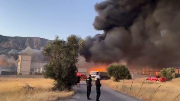 Φωτιά τώρα σε εργοστάσιο στα Μέγαρα: Καίγονται πλαστικά - Μαύροι καπνοί στην περιοχή