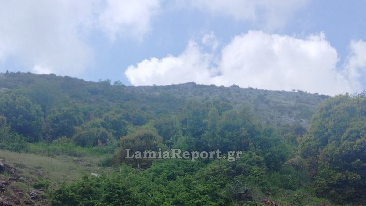 Πυρκαγιά σε δύσβατο μέρος στο όρος Όθρυς - Σηκώθηκαν εναέρια μέσα