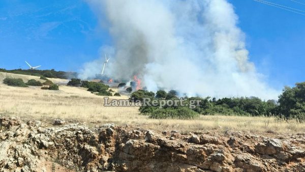 Πυρκαγιά σε δασική έκταση στη Φωκίδα - Σηκώθηκαν τα PZL από τη Λαμία