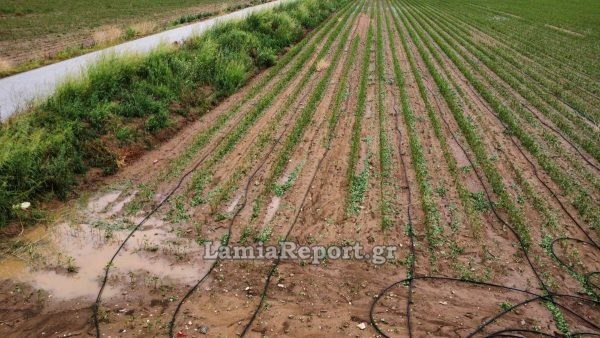 Αντιπροσωπεία της ΝΕ Φθιώτιδας ΠΑΣΟΚ στις πληγείσες περιοχές του Δομοκού