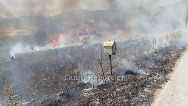 Φθιώτιδα: Πρόστιμο στον Άγιο Κωνσταντίνο για κάψιμο υπολειμμάτων καλλιέργειας