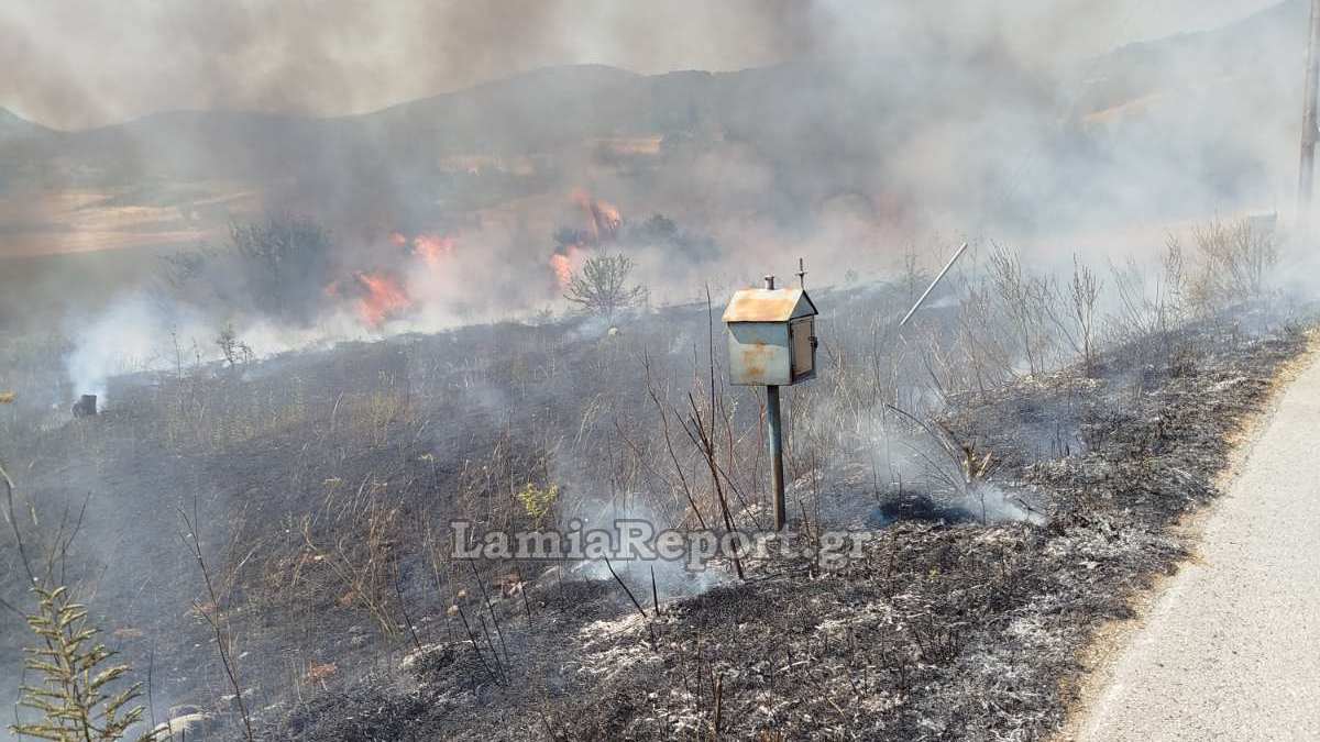 Στα κόκκινα σήμερα η μισή Στερεά - Πολύ υψηλός κίνδυνος για πυρκαγιά και στη Φθιώτιδα
