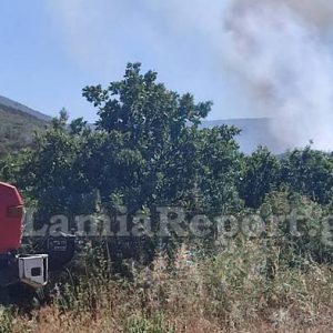 Μεγάλη κινητοποίηση της πυροσβεστικής για πυρκαγιά στον Έξαρχο - Σηκώθηκαν εναέρια μέσα