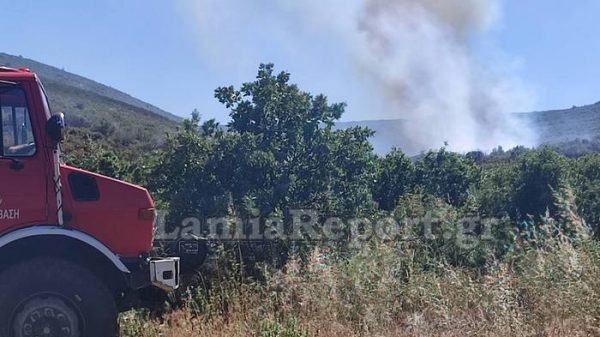 Μεγάλη κινητοποίηση της πυροσβεστικής για πυρκαγιά στον Έξαρχο - Σηκώθηκαν εναέρια μέσα