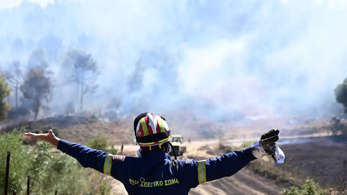 Φωτιά σε δάσος στην Βαλανιδούσσα Πρέβεζας: Ήχησε το 112
