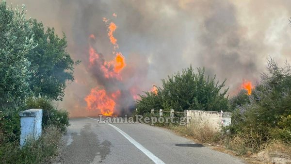 Μεγάλη πυρκαγιά στην ανατολική Φθιώτιδα - Χτύπησαν οι καμπάνες σε Ράχες και Αχλάδι, ενώ ήχησε και το «112» (ΒΙΝΤΕΟ)