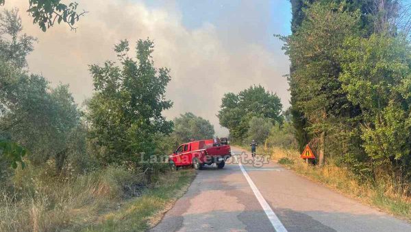 Πολύ υψηλός κίνδυνος πυρκαγιάς στη Φθιώτιδα - Στα κόκκινα Εύβοια και Βοιωτία