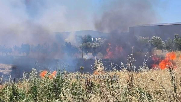 Συναγερμός για πυρκαγιά στη Ριτσώνα δίπλα σε εργοστάσιο (ΦΩΤΟ)