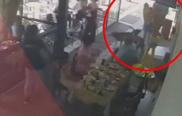 «Το παιδί είχε πολύ βαθιά τραύματα στο κεφάλι» – Βίντεο από επίθεση σκύλου σε αγοράκι 2,5 ετών στο Λαύριο