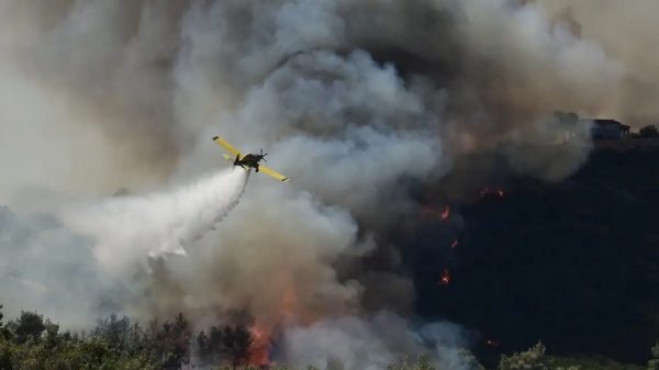 Σέρρες: Παραδομένη στις φλόγες δασική έκταση στο Μελενικίτσι – Σηκώθηκαν αεροσκάφη