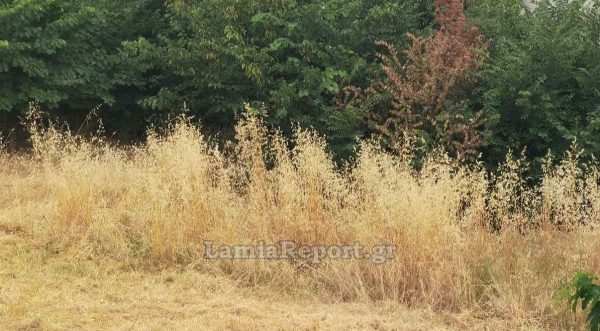 Άγγιξαν τις 702.000 οι δηλώσεις καθαρισμών οικοπέδων σε όλη τη χώρα