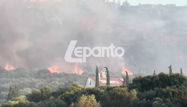 Φωτιά στη Ναύπακτο: Μικρές αναζωπυρώσεις στην περιοχή Πλατανίτη – Δεν έχουν καταγραφεί ζημιές σε σπίτια