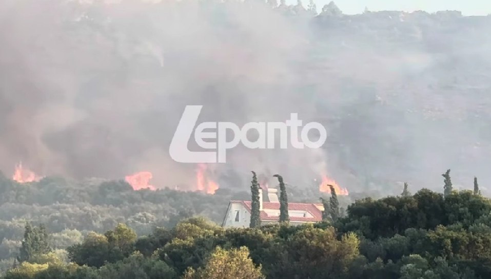 Φωτιά στη Ναύπακτο: Μικρές αναζωπυρώσεις στην περιοχή Πλατανίτη – Δεν έχουν καταγραφεί ζημιές σε σπίτια