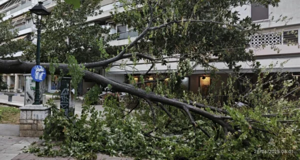 Κακοκαιρία στον Βόλο: Ανεμοθύελλα ξερίζωσε δέντρα και προκάλεσε ζημιές