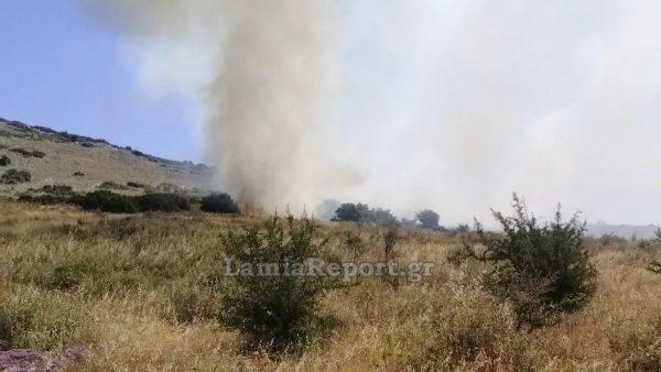 Συναγερμός στις Πυροσβεστικές Υπηρεσίες στη Στερεά από απανωτές πυρκαγιές (ΦΩΤΟ)