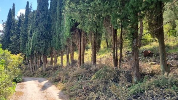 Ολοκληρώθηκαν οι εργασίες δημιουργίας αντιπυρικών ζωνών στον Δήμο Αμφίκλειας - Ελάτειας