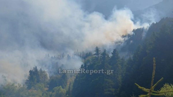 Σε δυσπρόσιτη πλαγιά εξακολουθεί να καίει η πυρκαγιά στη Δομνίστα (ΒΙΝΤΕΟ)