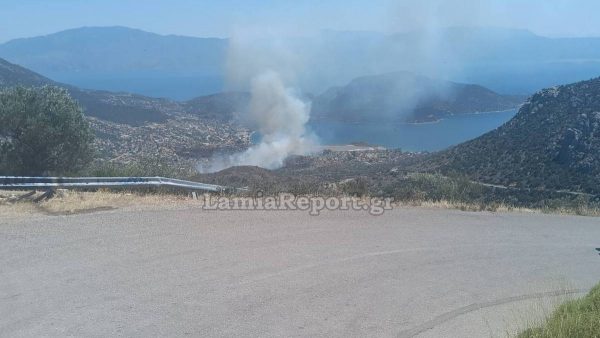 Ενισχύονται οι δυνάμεις στην Αλυκή Βοιωτίας (ΦΩΤΟ)
