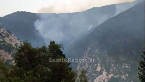 Μεγάλη πυρκαγιά στο Μεσοχώρι Ευρυτανίας - Ενεργούν ισχυρές δυνάμεις από γη και αέρα