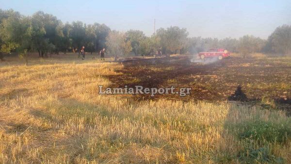 Πρόλαβαν πυρκαγιά σε αγροτική έκταση στο Αυλάκι Στυλίδας (ΦΩΤΟ)