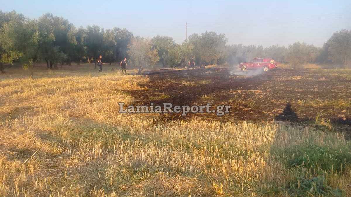 Πρόλαβαν πυρκαγιά σε αγροτική έκταση στο Αυλάκι Στυλίδας (ΦΩΤΟ)