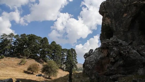Χαλκιδική: Απαγόρευση κυκλοφορίας σε περιοχές της Κασσάνδρας, Σιθωνίας και Αριστοτέλη την Δευτέρα λόγω καύσωνα