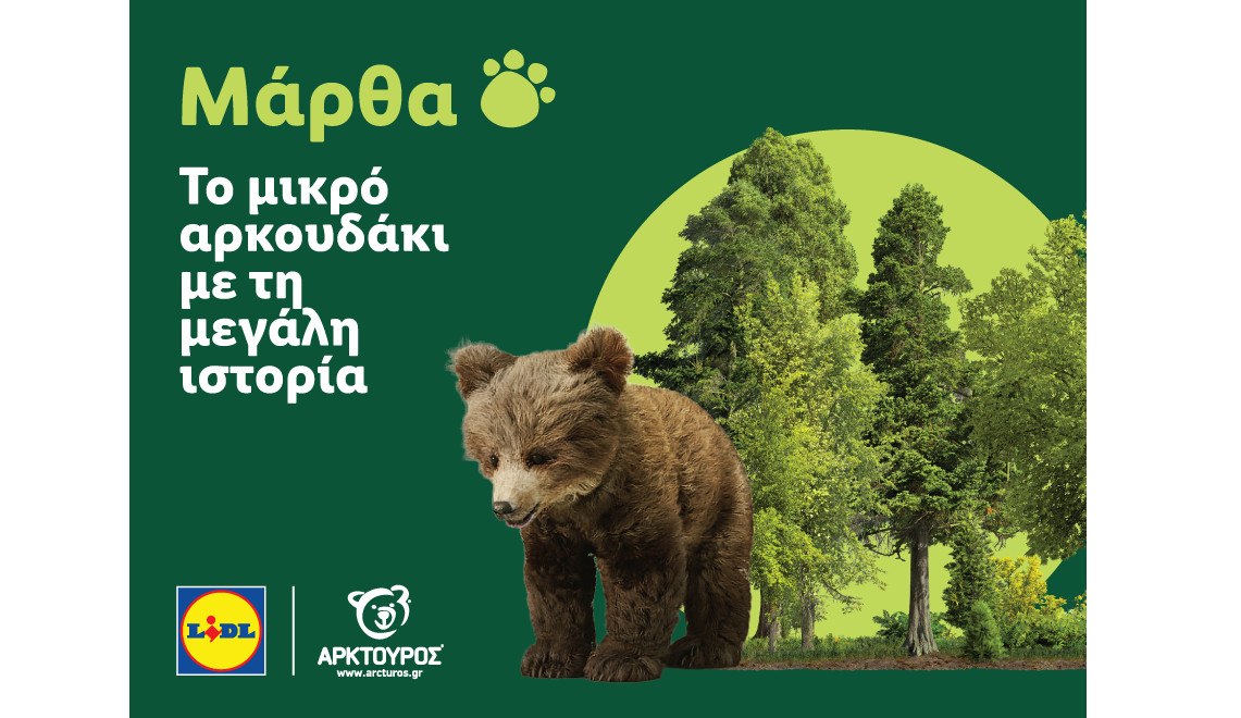Η Lidl Ελλάς στήριξε την επιτυχή επανένταξη της Μάρθας στη φύση, σε συνεργασία με τον ΑΡΚΤΟΥΡΟ