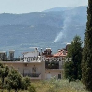 Πυρκαγιά σε αγροτοδασική έκταση στο Ρεγγίνι - Κινητοποίηση της Πυροσβεστικής