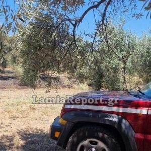 Πυρκαγιά στην Αγριλιά μέσα σε ελαιοπερίβολο