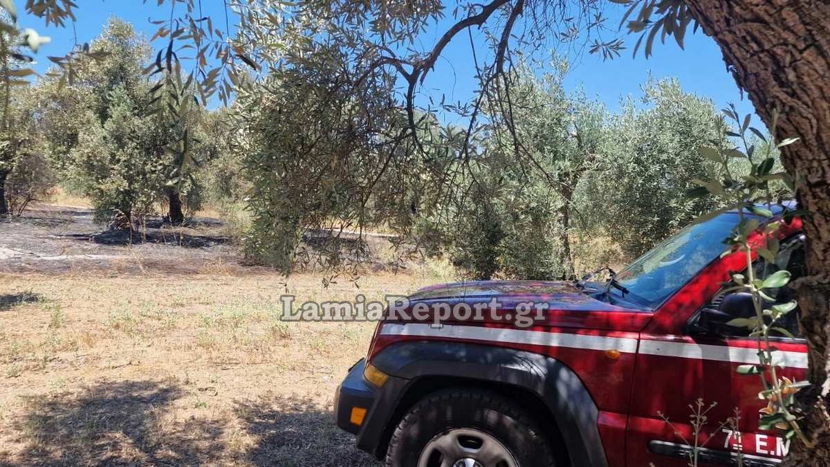 Φθιώτιδα: Αγωνία για ηλικιωμένη που έφυγε από το σπίτι της