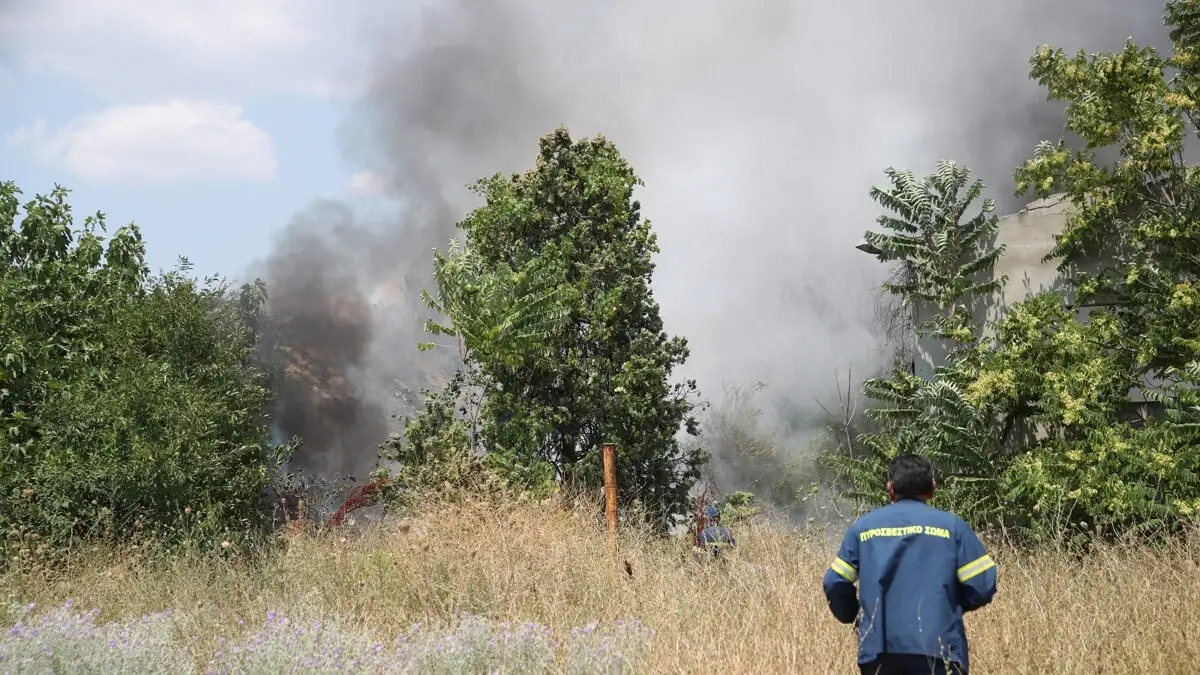 Φωτιά στην Αλεξανδρούπολη: Πληροφορίες ότι καίγονται σπίτια