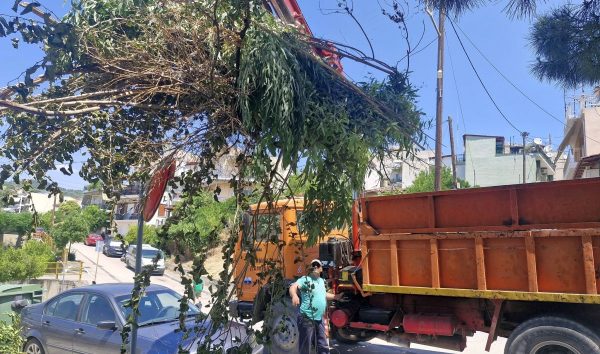 Δήμος Λαμιέων: Επικοινωνήστε για την απομάκρυνση μεγάλων αντικειμένων και υπολειμμάτων πρασίνου