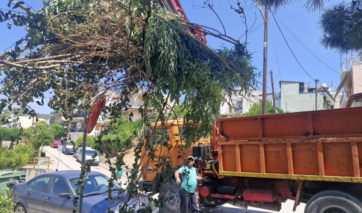 Δήμος Λαμιέων: Επικοινωνήστε για την απομάκρυνση μεγάλων αντικειμένων και υπολειμμάτων πρασίνου