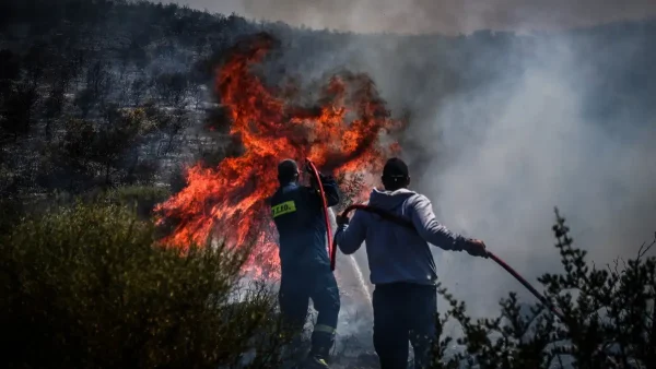 Φωτιά στον Μαραθώνα στην περιοχή Παραλία: Μήνυμα του 112 για εκκένωση