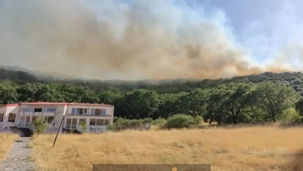 Φωτιά σε δασική έκταση στην Καρδίτσα – Επιχειρούν εναέρια μέσα