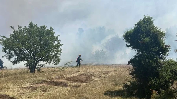 Φωτιά στο Δρέπανο Κοζάνης - Ήχησε 112 στους κατοίκους για ετοιμότητα