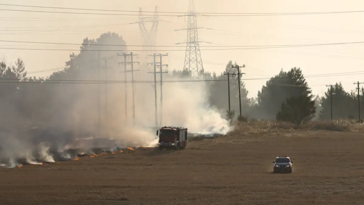 Πυρκαγιά στην περιοχή του Μοσχοχωρίου Λάρισας στο ύψος των διοδίων